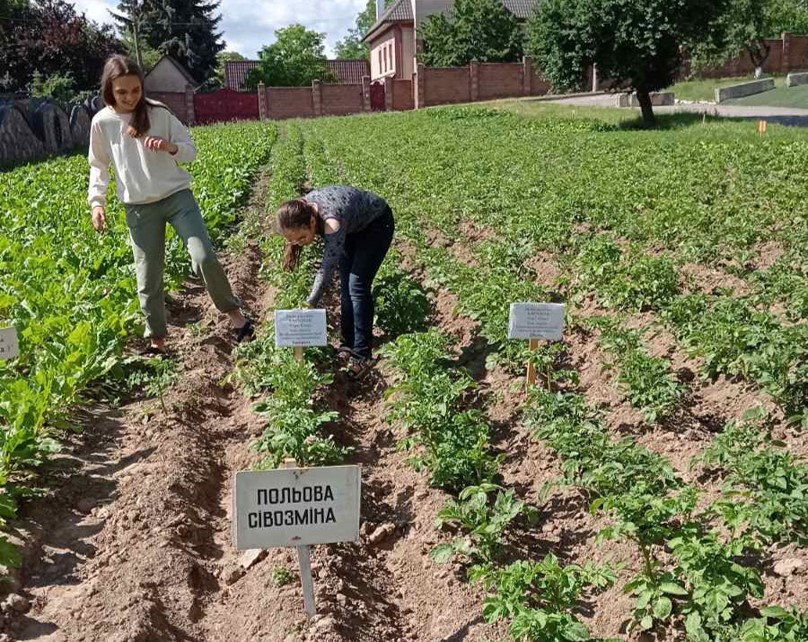 Всеукраїнські дослідницькі конкурси: нові досягнення юних науковців Рівненщини!