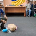 Домедична підготовка: знання, що рятують життя!