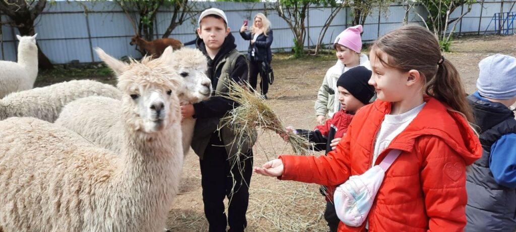 Юні етнографи на «Fluffy farm»