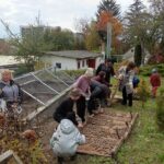 Підбиття підсумків сезону роботи учнівської равликової ферми!