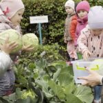 Підсумки обласного етапу Всеукраїнського конкурсу «Дитячий міні-город: від насінини до плодів» 