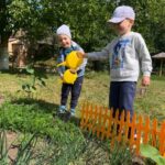 Підсумки Всеукраїнського конкурсу «Дитячий міні-город: від насінини до плодів»!