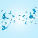 Про проведення Всеукраїнського конкурсу «День зустрічі птахів»