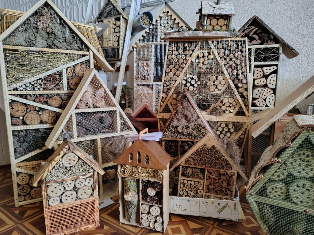 Підведено підсумки першого відкритого конкурсу проєктів «Готелі для комах»!