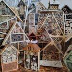 Підведено підсумки першого відкритого конкурсу проєктів «Готелі для комах»!