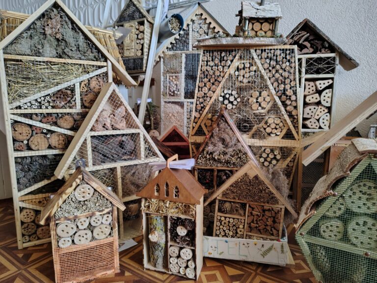 Підведено підсумки першого відкритого конкурсу проєктів «Готелі для комах»!